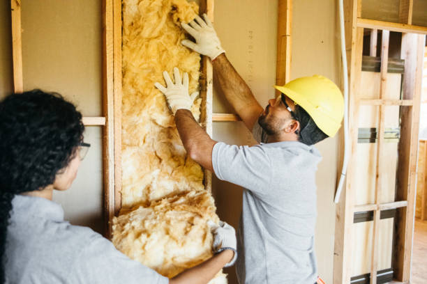 Best Local Insulation Services  in Cloverdale, CA