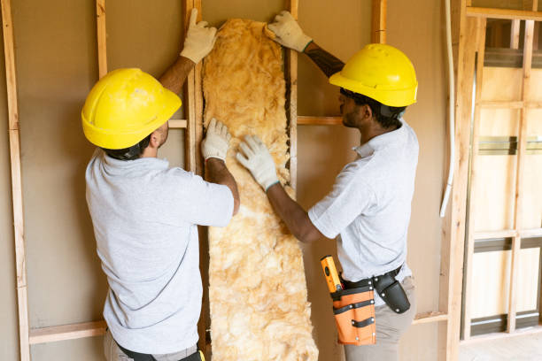 Best Home Insulation Services  in Cloverdale, CA